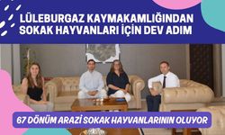 LÜLEBURGAZ; 67 Dönüm Arazi Sokak Hayvanlarının Oluyor