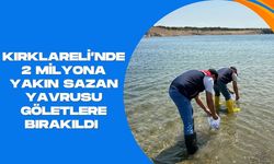 Kırklareli’nde 2 Milyona Yakın Sazan Yavrusu Göletlere Bırakıldı