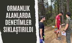 Ormanlık Alanlarda Denetimler Sıklaştırıldı