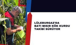 Lüleburgaz’da Batı Mısır Kök Kurdu Takibi Sürüyor