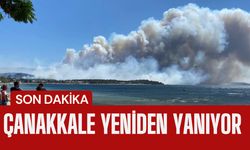Çanakkale'de Yeniden Yanıyor
