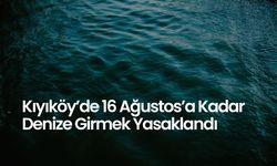 Kıyıköy’de 16 Ağustos’a Kadar Denize Girmek Yasaklandı