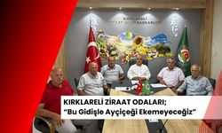 KIRKLARELİ ZİRAAT ODALARI; “Bu Gidişle Ayçiçeği Ekemeyeceğiz”