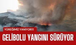 YÜREĞİMİZ YANIYOR; Gelibolu Yangını Sürüyor