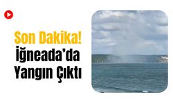 Son Dakika! İğneada’da Yangın Çıktı