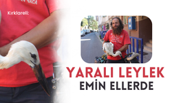 Kırklareli: Yaralı Leylek Emin Ellerde