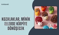 Kırklareli: Kozalaklar, Minik Ellerde Kirpiye Dönüşecek