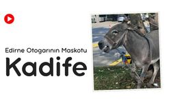 Edirne Otogarının Maskotu; Kadife