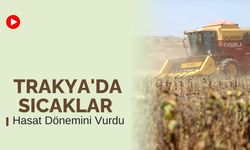 Trakya'da Sıcaklar Hasat Dönemini Vurdu