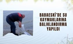 Babaeski’de Su Kaymaklarına Balıklandırma Yapıldı