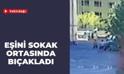 Tekirdağ: Eşini Sokak Ortasında Bıçakladı