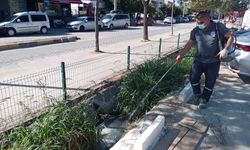 Edirne'den Kısa Kısa