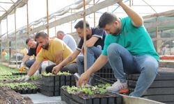 Edirne'den Kısa Kısa
