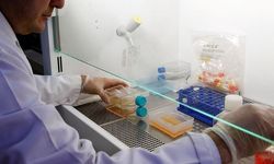 Prostat Kanserinde En Güncel 4 Tedavi Yöntemi