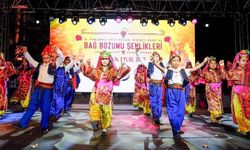 KIRKLARELİ'NDE BAĞ BOZUMU; Gençlerin Sanat Gösterileri Büyük Beğeni Topladı