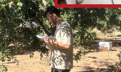 Kırklareli’nde Feromon Tuzakları Kontrol Edildi