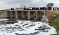 TEMA Vakfı’ndan Ergene İçin Güçlü Çağrı: “Ergeneyi Önemse, Geleceğe Gülümse”