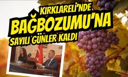 Kırklareli’nde Bağbozumuna Sayılı Günler Kaldı