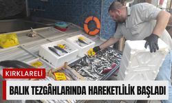 Kırklareli’nde Balık Tezgâhlarında Hareketlilik Başladı