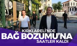 Kırklareli’nde Bağ Bozumu Şenliklerine Saatler Kaldı