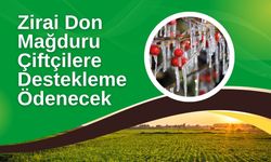 Zirai Don Mağduru Çiftçilere Destekleme Ödenecek