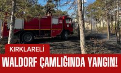 Kırklareli Waldorf Çamlığında Yangın!