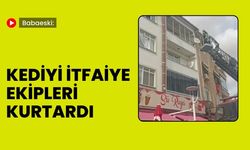 Babaeski: Kediyi İtfaiye Ekipleri Kurtardı