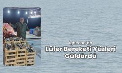 İğneada’da Lüfer Bereketi Yüzleri Güldürdü