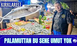 Kırklareli; Palamuttan Bu Sene Umut Yok