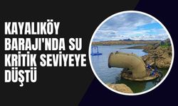 Kayalıköy Barajı'nda Su Kritik Seviyeye Düştü