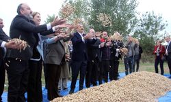Meriç’te Fıstık Şenliği