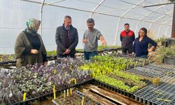 Kaymakam Özderin Kadın Çiftçileri Ziyaret Etti