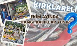 Kırklareli; Ekim Ayında Hangi Balıklar Yenir?