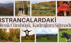 Istrancalardaki Renk Cümbüşü Kadrajlara Sığmadı