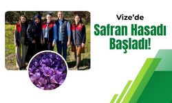 Vize’de Safran Hasadı Başladı!