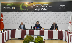 1 Yılda 550 Milyon Fidan ve Tohumu Toprakla Buluşacak