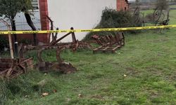 Oyun Oynarken Üzerine Saban Devrilen Çocuktan Acı Haber