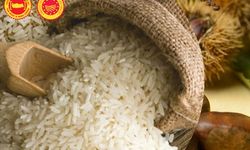 İpsala Pirinci AB'den Coğrafi İşaret Tescili Aldı