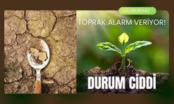 Toprak Alarm Veriyor, Durum Ciddi