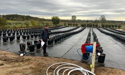 Lüleburgaz’da Yaban Mersini Bahçeleri Kuruluyor