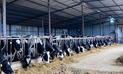 Pınarhisar’da Ari Hayvancılık İşletmesi Ziyaret Edildi