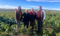 Saha İncelemeleri Hız Kesmiyor