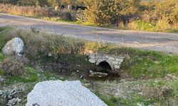 Şok! Boş Arazide Bir Bebeğin Cansız Bedeni Bulundu