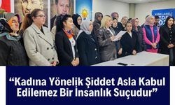 “Kadına Yönelik Şiddet Asla Kabul Edilemez Bir İnsanlık Suçudur”