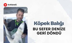 Kırklareli: Köpek Balığı Bu Sefer Denize Geri Döndü