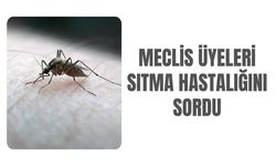 Meclis Üyeleri Sıtma Hastalığını Sordu