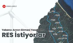 Kırklareli: Yabancı Arının Girmesi Yasak Ama RES İstiyorlar