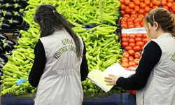 Ekimde 125 Bin 572 Gıda Denetimi Yapıldı