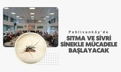 Pehlivanköy’de Sıtma ve Sivrisinekle Mücadele Başlayacak