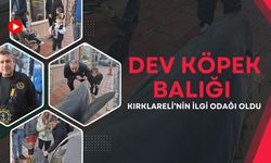 Dev Köpek Balığı Kırklareli’nin İlgi Odağı Oldu